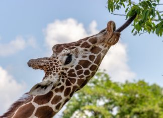 159 Citate Motivationale Amuzante scurte pentru un inceput de saptamana optimist