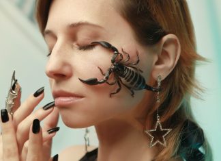 Compatibilitate Scorpion cu celelalte zodii ale horoscopului