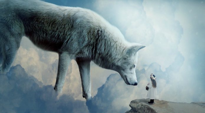 Care este animalul tau spiritual in functie de data ta de nastere?