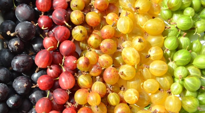 Top 7 beneficii ale agriselor pentru sanatatea generala