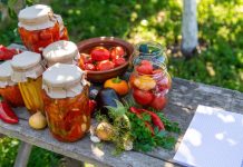Toamna la țară: ce fac familiile românești în septembrie și octombrie